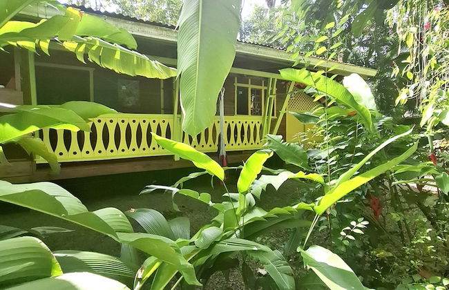 El Jardin de Playa Negra - Foto 71