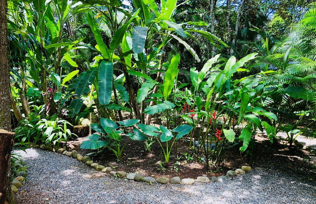 El Jardin de Playa Negra - Foto 69