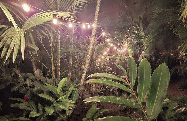 El Jardin de Playa Negra - Foto 80
