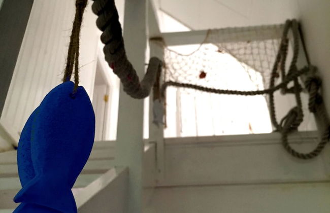 Casa Livingston Luxury Villa - La Digue Seychelles - Foto 3