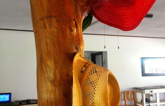 Casa Livingston Luxury Villa - La Digue Seychelles - Foto 37