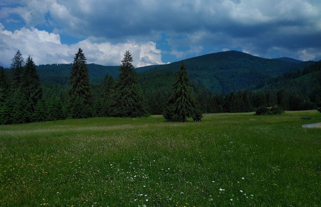 Ski-Lake Cottage Nízke Tatry - Photo 19