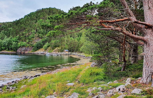 8 Person Holiday Home in Sundlandet - Photo 80