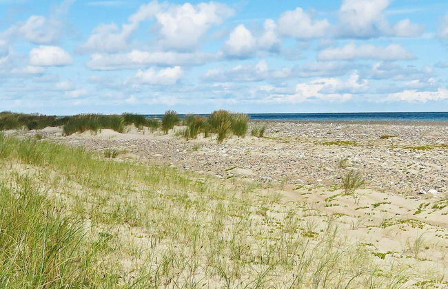 7 Person Holiday Home in Fjerritslev - Foto 22
