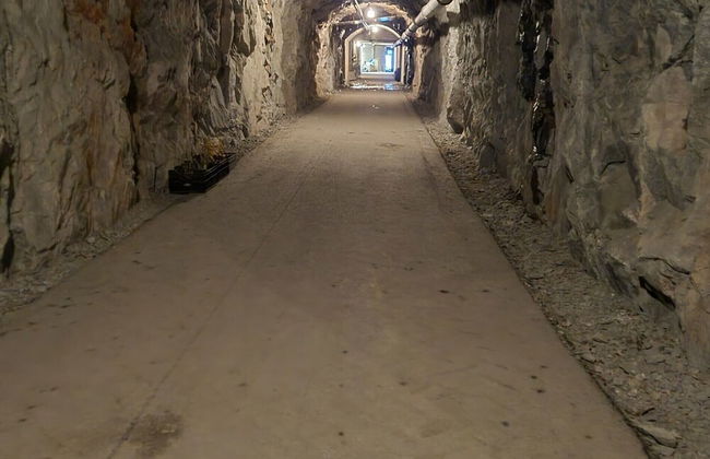 Cave Retreat - Sleeps 2 - Pets - Parking - Wifi - Foto 6