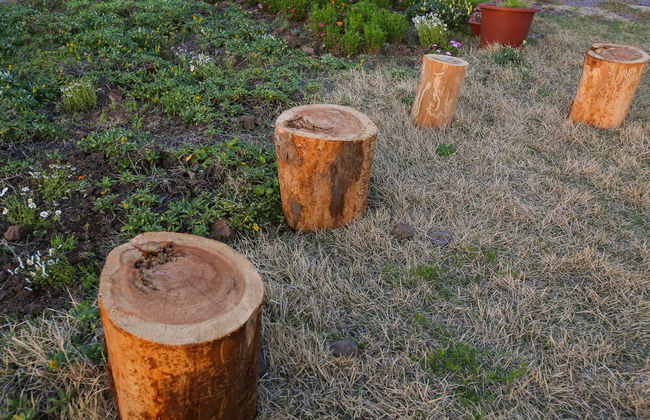 BaDang Garden - Foto 72