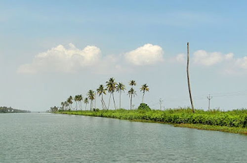 Photo 7 - Houseboat Cruise in the Backwaters of Kerala
