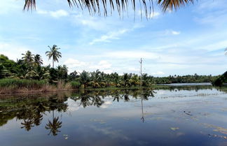 Foto 2 - Houseboat Cruise in the Backwaters of Kerala