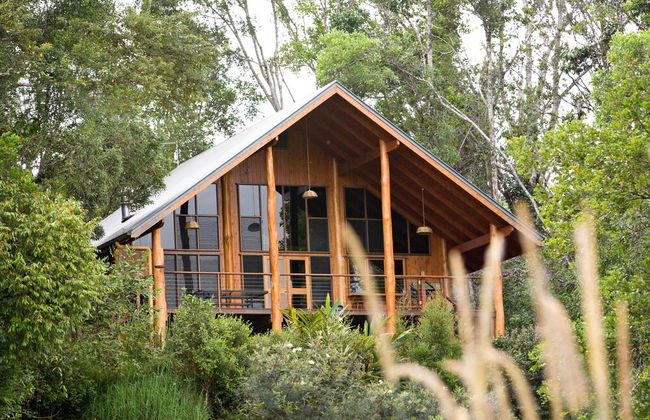 The Canopy Rainforest Treehouses and Wildlife Sanctuary - Foto 23