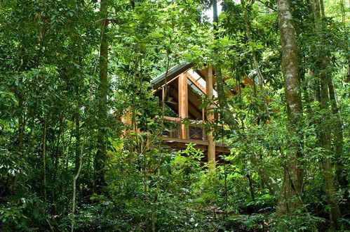 Photo 24 - The Canopy Rainforest Treehouses and Wildlife Sanctuary