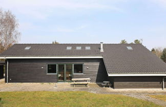 Foto 1 - 12 Person Holiday Home in Hals