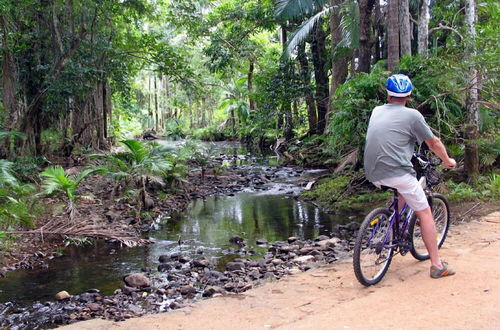 Photo 32 - Seclude Rainforest Retreat