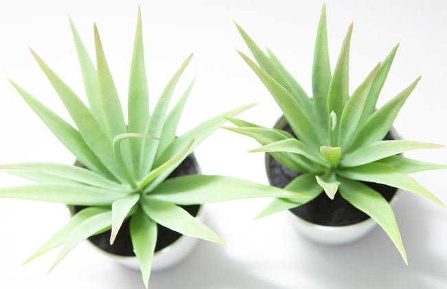 Mørk Apartments - Photo 51