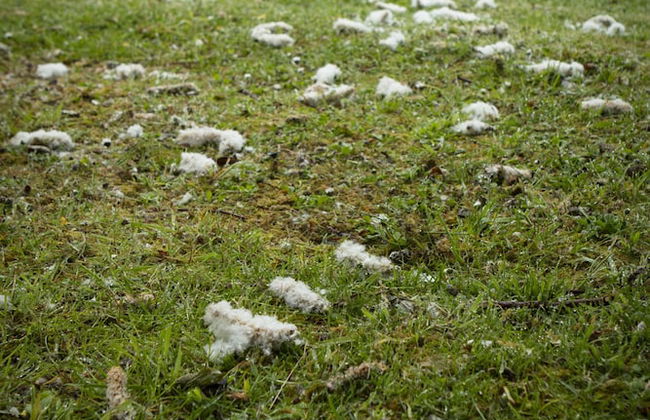 Mørk Apartments - Photo 55