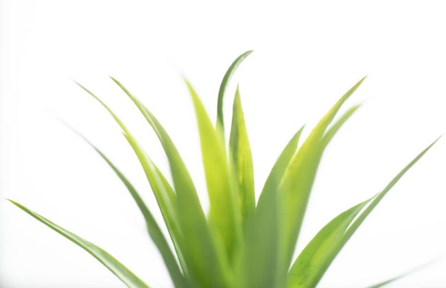 Mørk Apartments - Photo 33