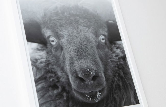 Mørk Apartments - Photo 53