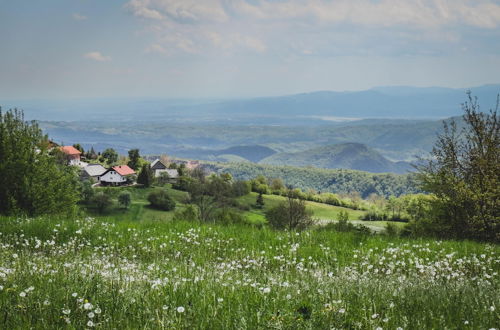 Photo 31 - Old House Knezovo With Lovely View