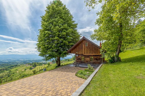 Photo 1 - Old House Knezovo With Lovely View