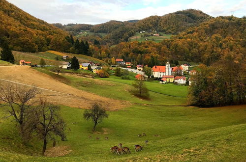 Photo 29 - Old House Knezovo With Lovely View