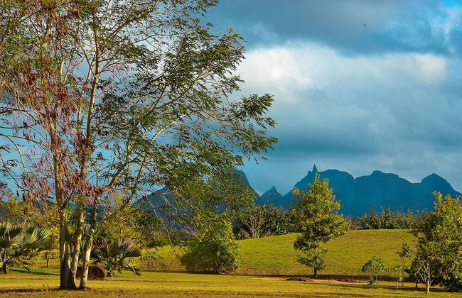Royal Park Resorts - Foto 40