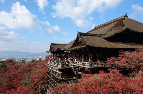 Photo 44 - Stay SAKURA Kyoto To-ji South II