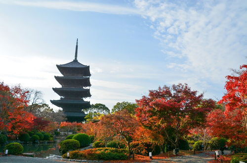 Photo 45 - Stay SAKURA Kyoto To-ji South II