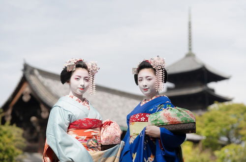 Photo 43 - Stay SAKURA Kyoto To-ji South II