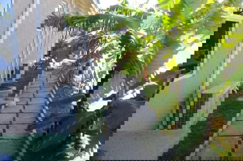 Photo 29 - Palm BlossomJA Manor