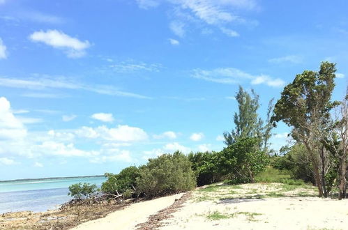 Photo 27 - Mangrove Cay Sea View Villas