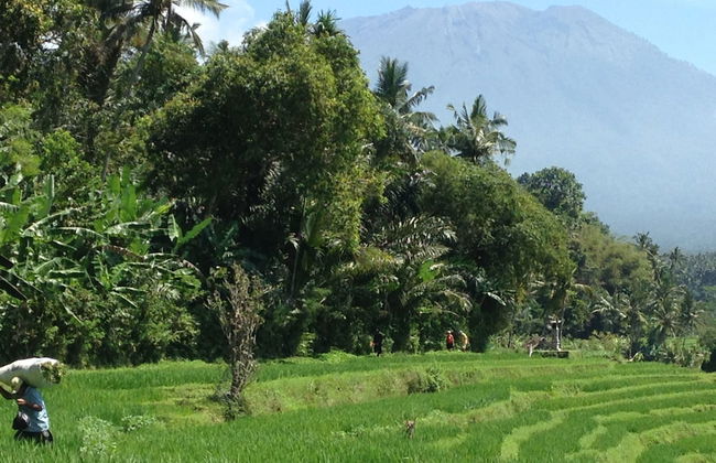 Bloo Lagoon Eco Village - Foto 57