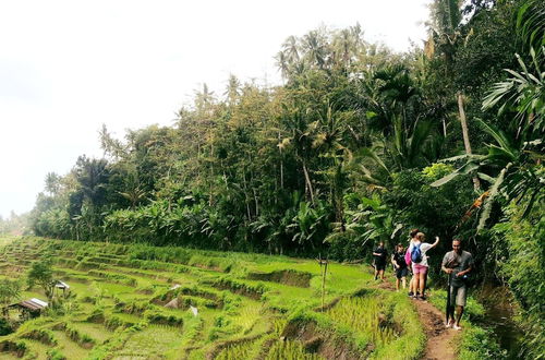 Foto 58 - Bloo Lagoon Eco Village