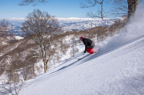 Photo 8 - Nozawa Cottage