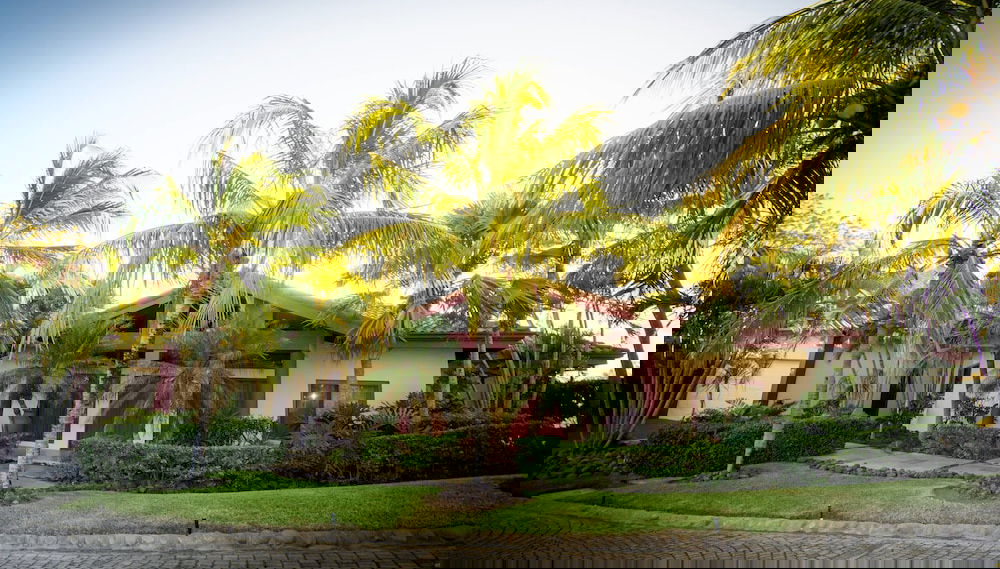 Imagem principal