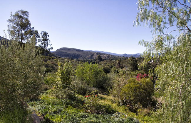 Kogman and Keisie Guest Farm - Photo 54