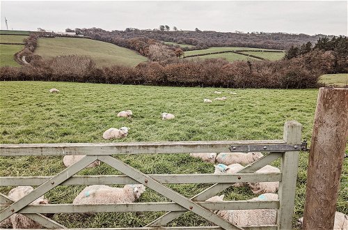 Foto 15 - Stunning Shepherd's Hut Retreat, North Devon