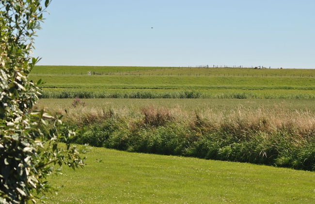 Charming Holiday Home in Texel - Foto 12