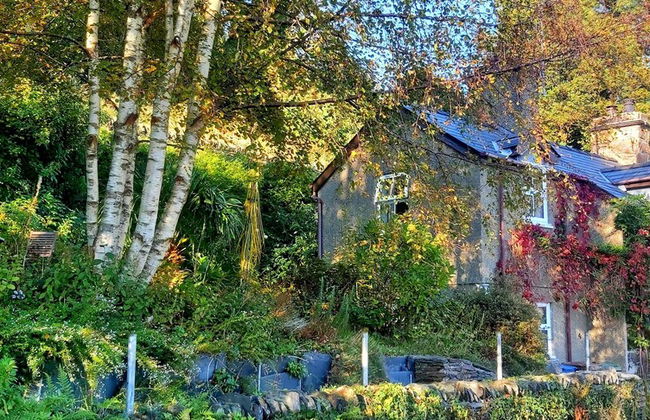 Bodorwel Cottage, Next to Ffestiniog Railway - Foto 1
