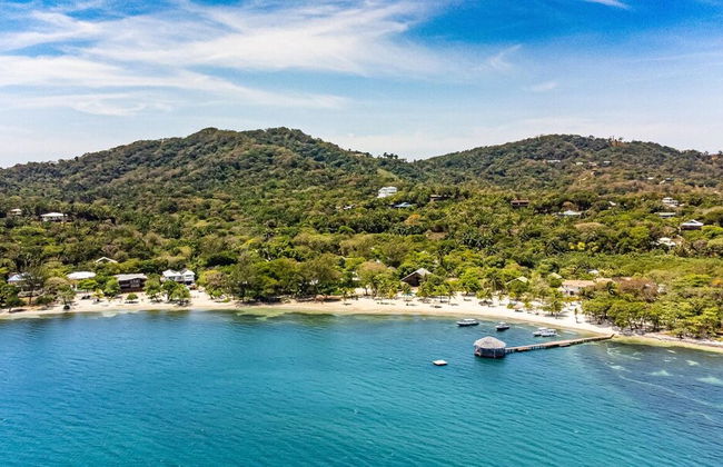 Laru Beya Palmetto Bay - Photo 51