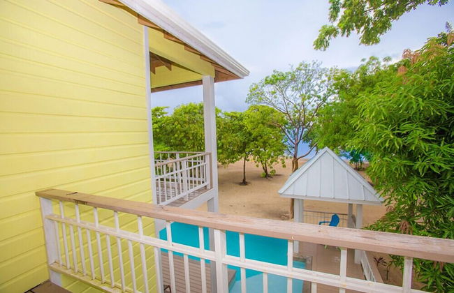 Laru Beya Palmetto Bay - Photo 37