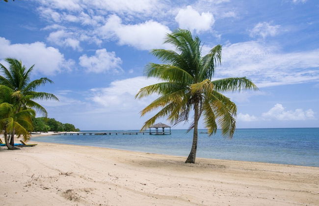 Laru Beya Palmetto Bay - Photo 52