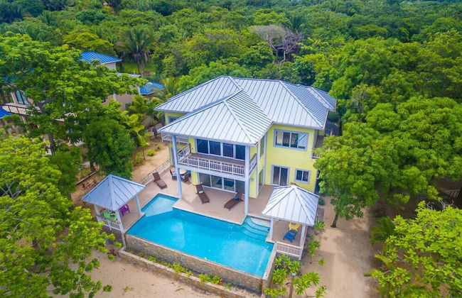 Laru Beya Palmetto Bay - Photo 1