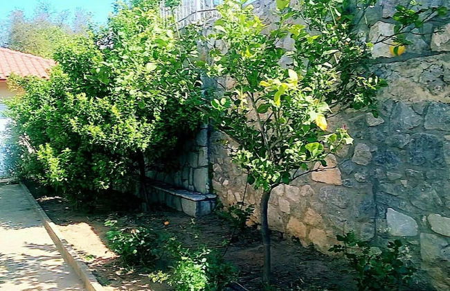 Beautiful & Cosy 5-bedroom Villa - Peloponnese - Photo 29