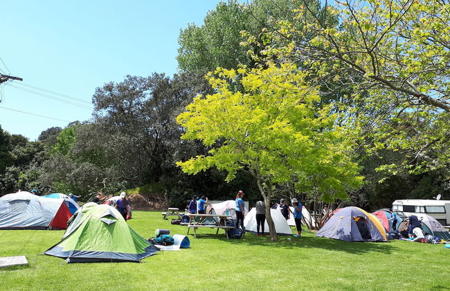Orere Point TOP 10 Holiday Park - Foto 26