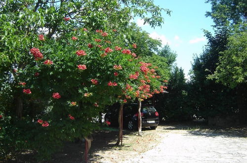 Photo 10 - Apartments Grgorinić - Ground Floor