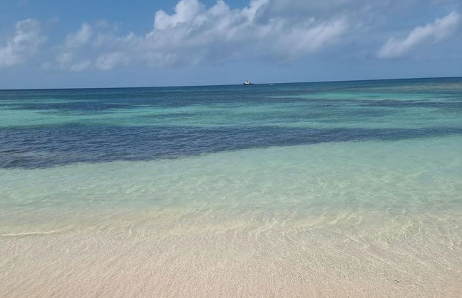 Captivating 1-bed Cottage in Codrington - Foto 12