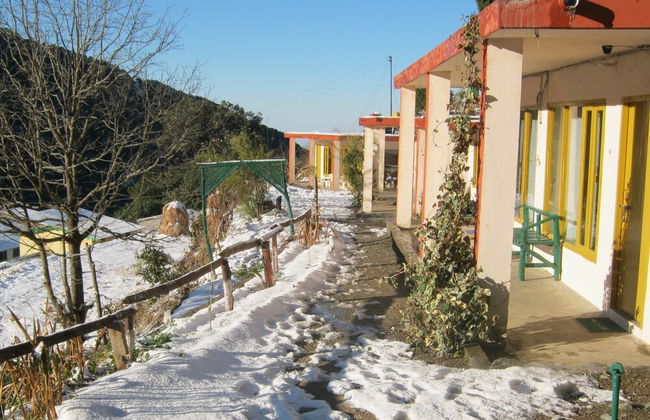 Room-janardan Resort Pangot, Nainital - Photo 6