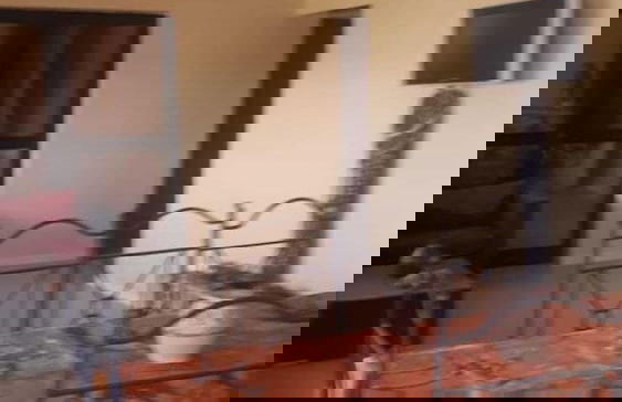 Keur Lagune - Foto 4