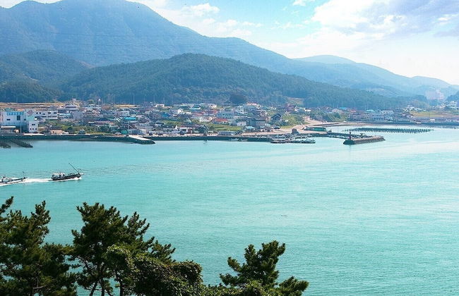 Tongyeong Tulip Pension - Photo 32