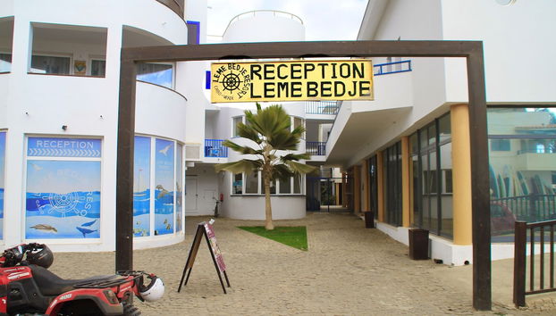Rezeption