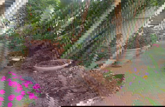 Sabba's Apartment - Foto 10